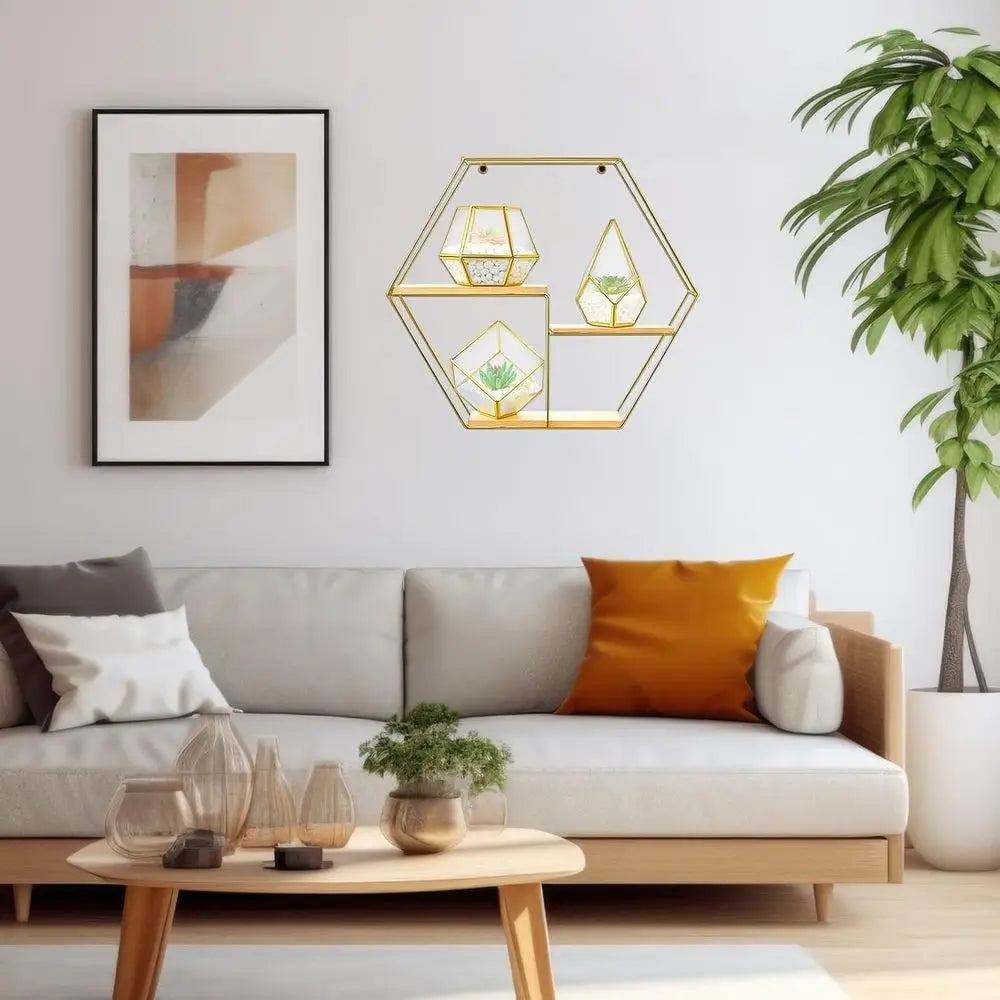 Decorative Metal Wall Shelves Include 3 Pcs Small Open Terrarium Planter Hexagonal Floating Wall Mounted Shelves for Bedroom Liv