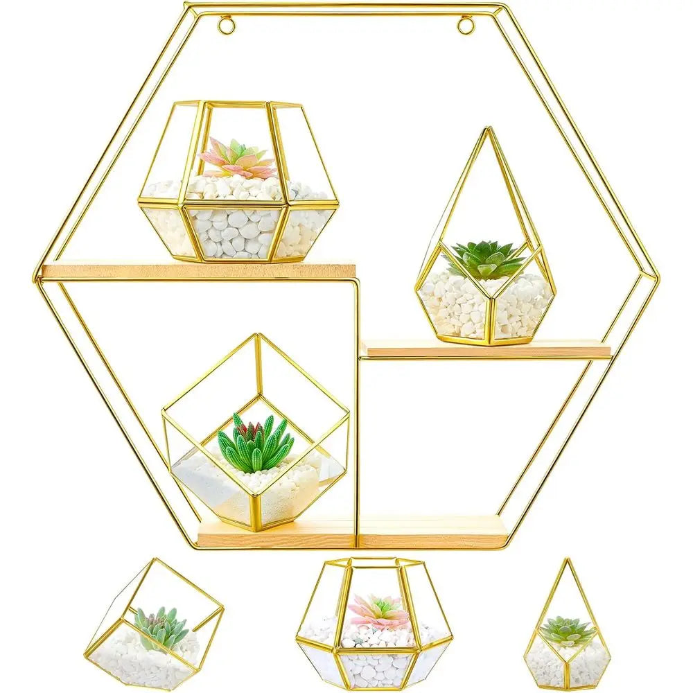 Decorative Metal Wall Shelves Include 3 Pcs Small Open Terrarium Planter Hexagonal Floating Wall Mounted Shelves for Bedroom Liv