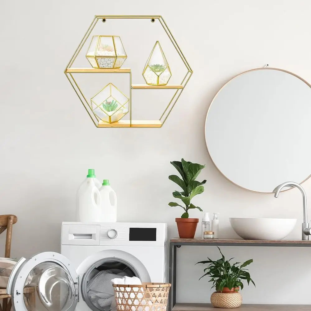 Decorative Metal Wall Shelves Include 3 Pcs Small Open Terrarium Planter Hexagonal Floating Wall Mounted Shelves for Bedroom Liv