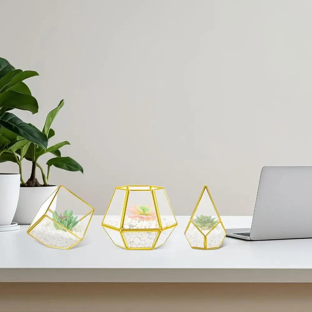 Decorative Metal Wall Shelves Include 3 Pcs Small Open Terrarium Planter Hexagonal Floating Wall Mounted Shelves for Bedroom Liv